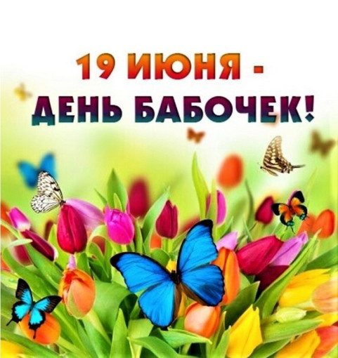 Всемирный день бабочек! Всемирный день бабочек!.